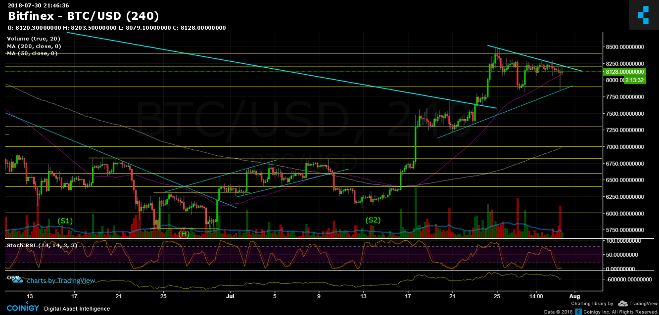 Bitcoin Price Analysis July 30
