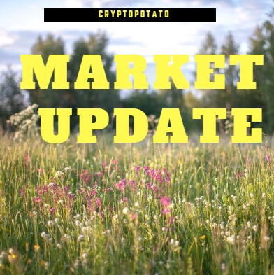 Market Update Report July.31