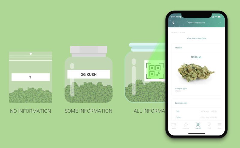 Paragon Partners With Civic Technologies To Deliver Transparency, Digital IDs To Cannabis Industry
