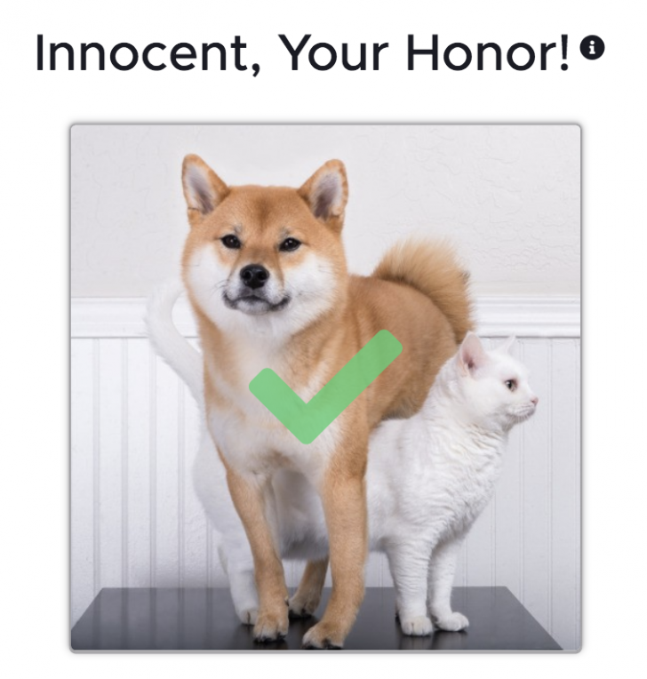 Plz No Cat: The Future Of Crypto Disputes Is Being Decided By Doges