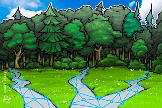 Chinese County Establishes Blockchain Company To Develop Forestry Industry