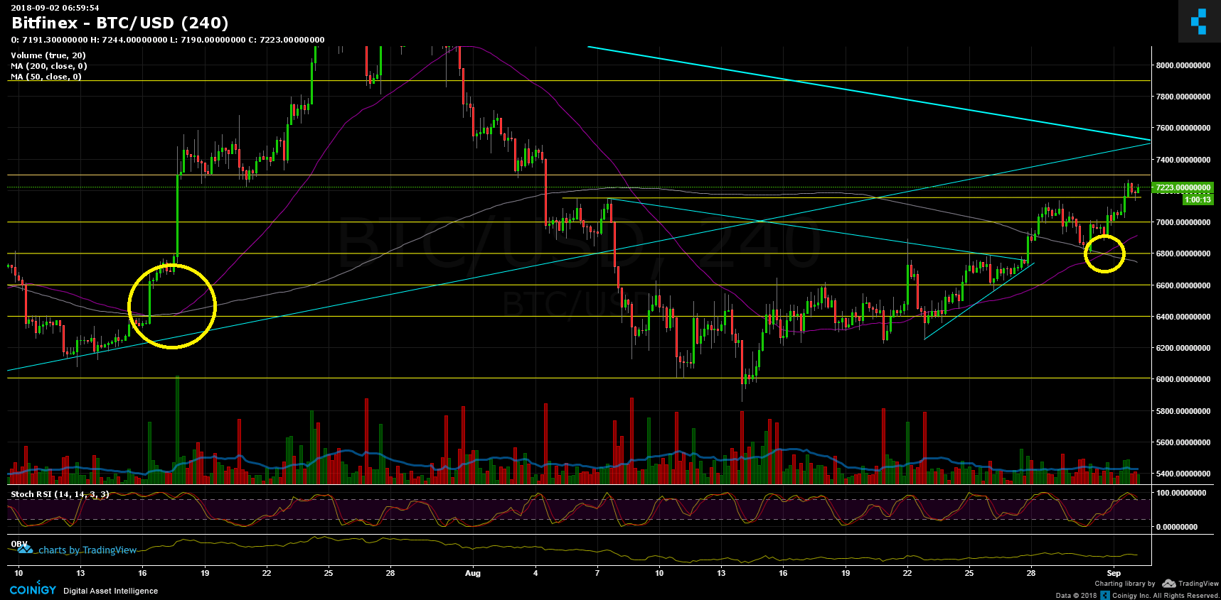 Bitcoin Price Analysis Sep.2: Are The Bulls Back?