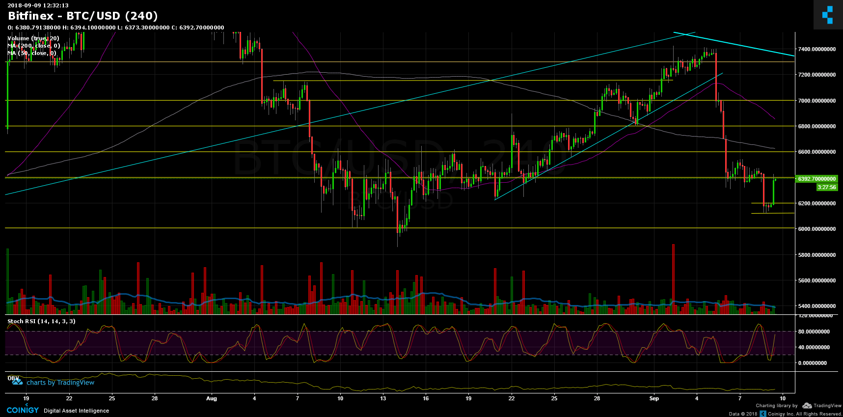 Bitcoin Price Analysis Sep.9: Will The Green Spike Hold?