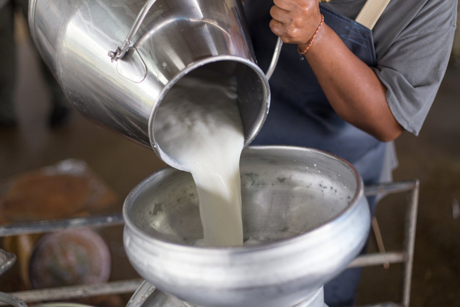 US Dairy Farmers To Trial Blockchain In Bid To Track Milk Products