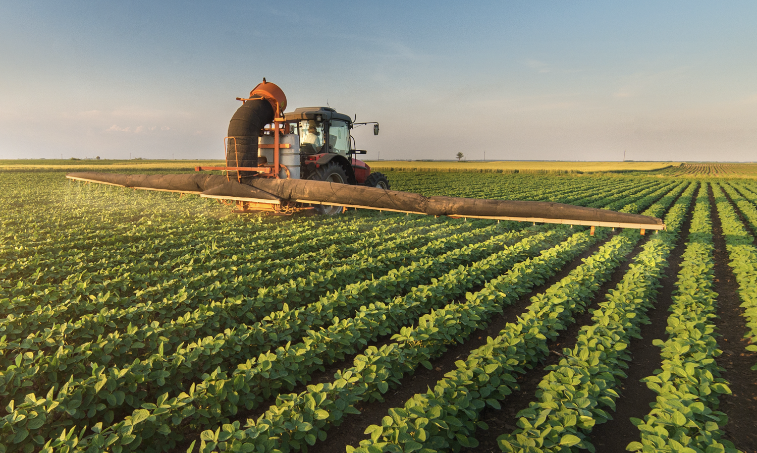 IBM’s Food Blockchain Is Going Live With A Supermarket Giant On Board