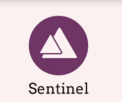 Could Fenbushi’s Protege, Sentinel Chain, Disrupt The Cattle Industry? Post ICO Analysis And Token Price Valuation
