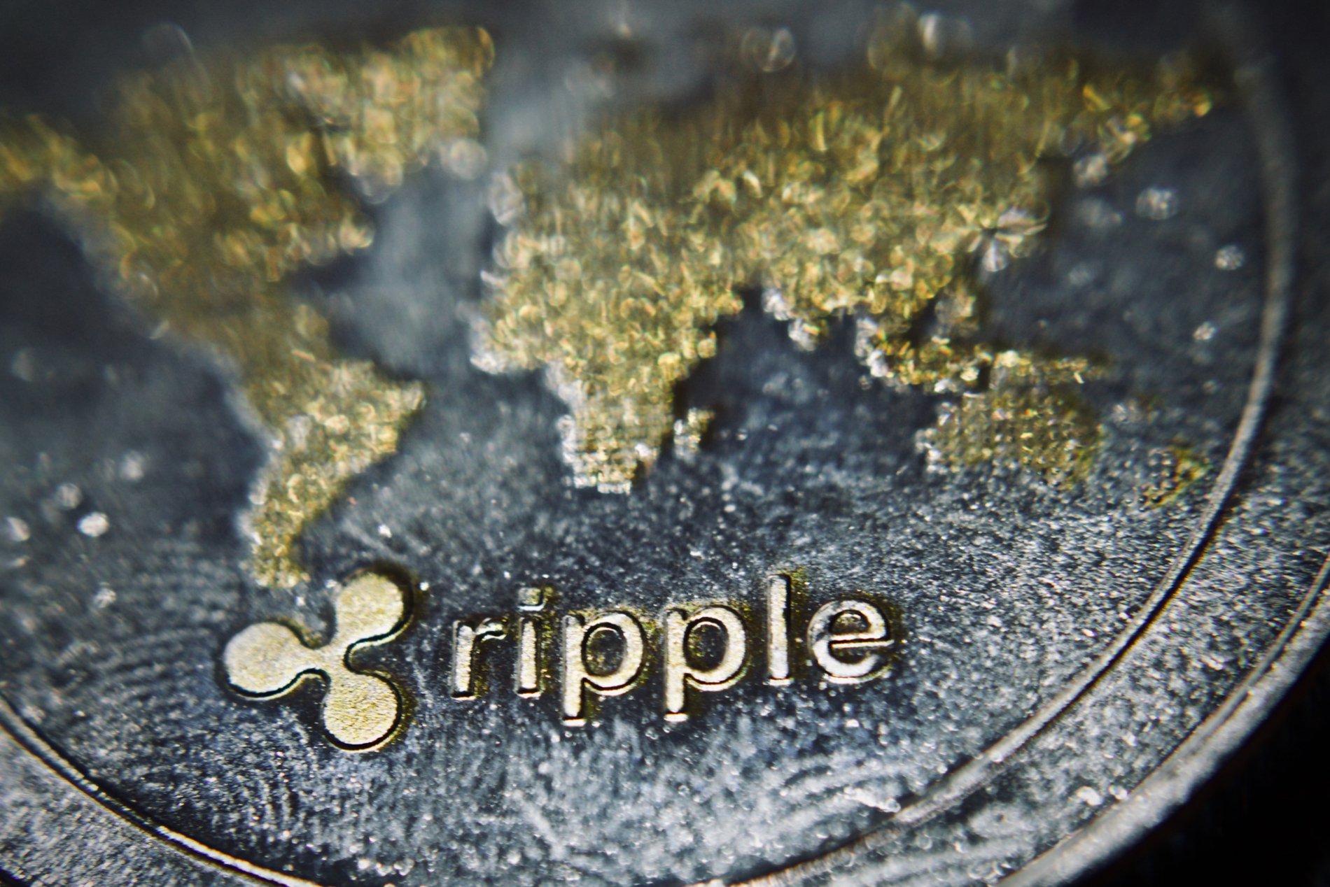 Ripple Says XRP Cryptocurrency Sales Doubled In Q3 2018