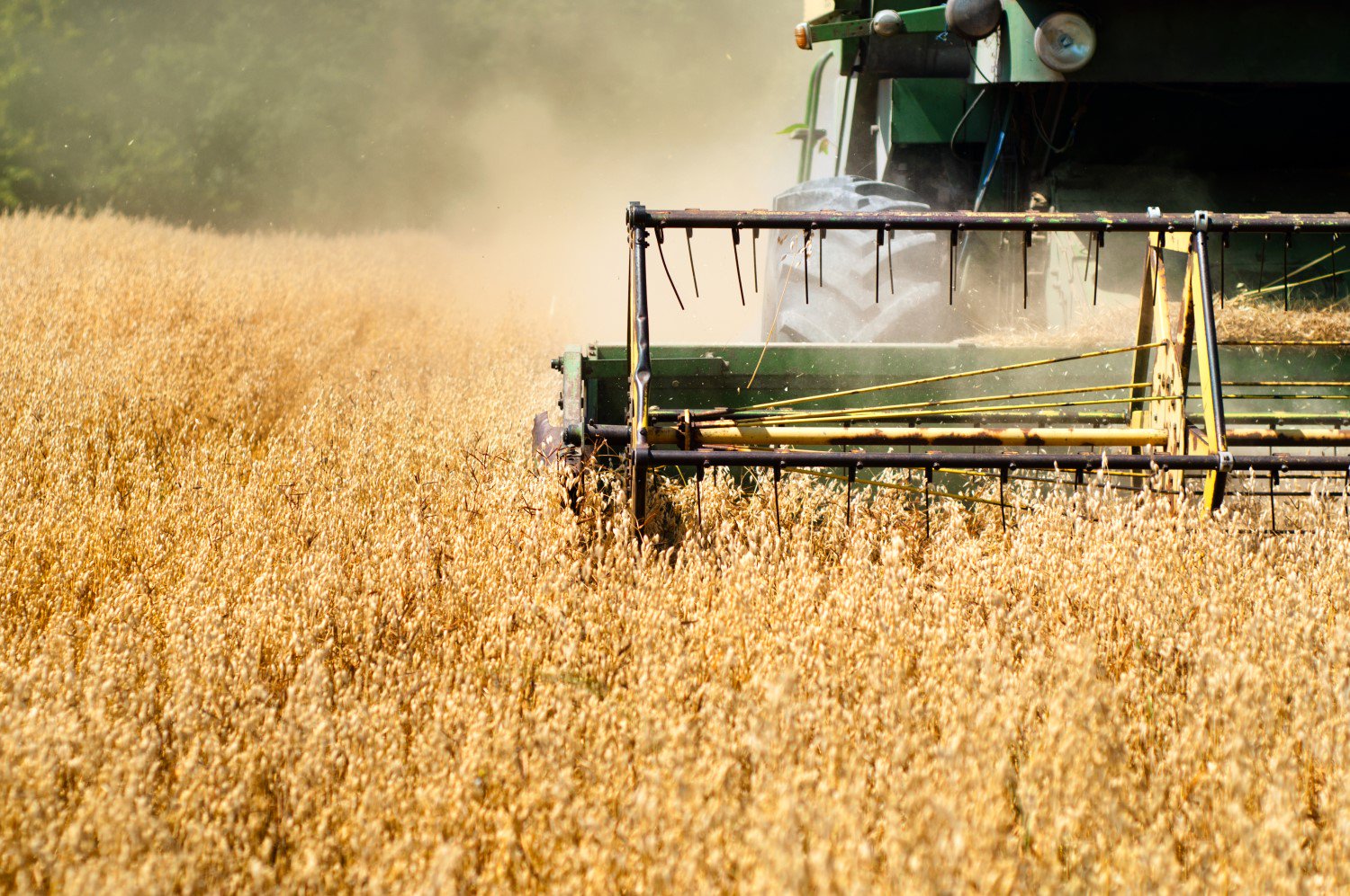 Four Agricultural Giants Eye Blockchain In Push To Digitize Global Trade