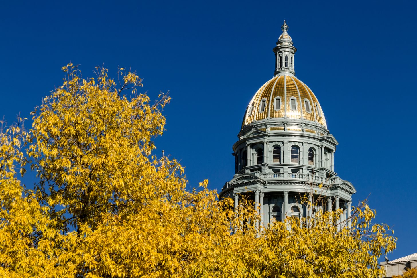 Colorado Regulators Crack Down On Four More ICOs