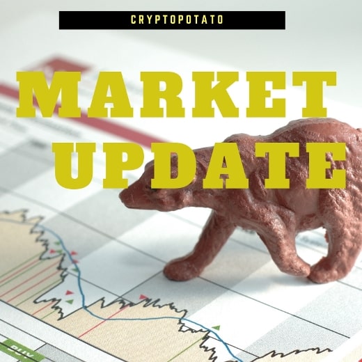 Crypto Market Update Nov.20: Black November. Crypto Crushes, Is The Bleeding Over?