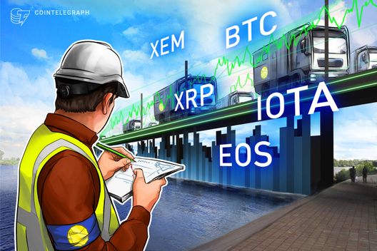 Top 5 Crypto Performers Overview: XEM, Ripple, EOS, Bitcoin, IOTA