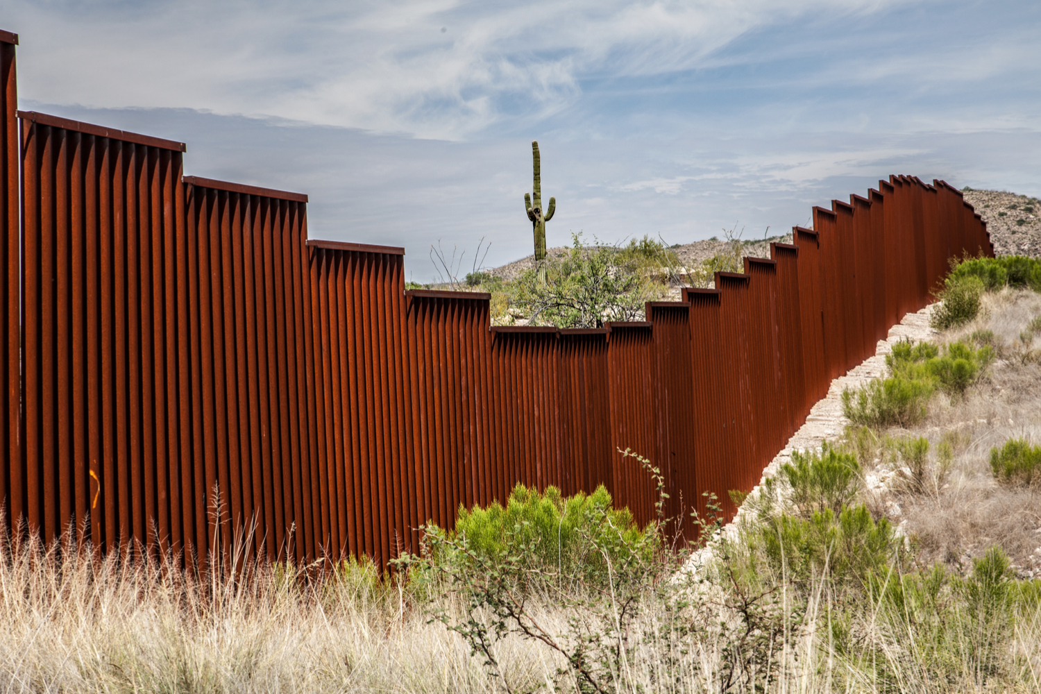 US Lawmaker Suggests ‘WallCoin’ Crypto To Fund Trump’s Mexico Border Wall
