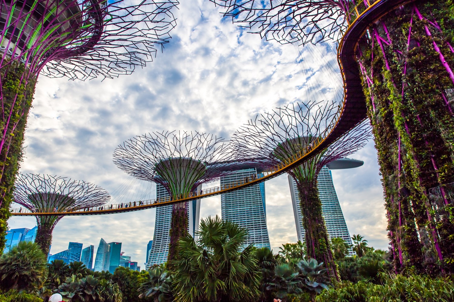 Singapore Government Agency Backs New Blockchain Accelerator