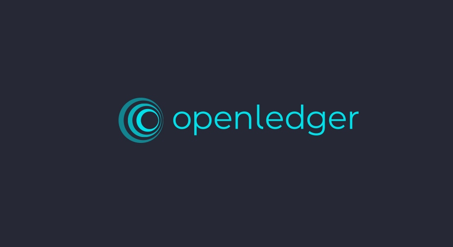 OpenLedger – A Trusted Blockchain Development Partner