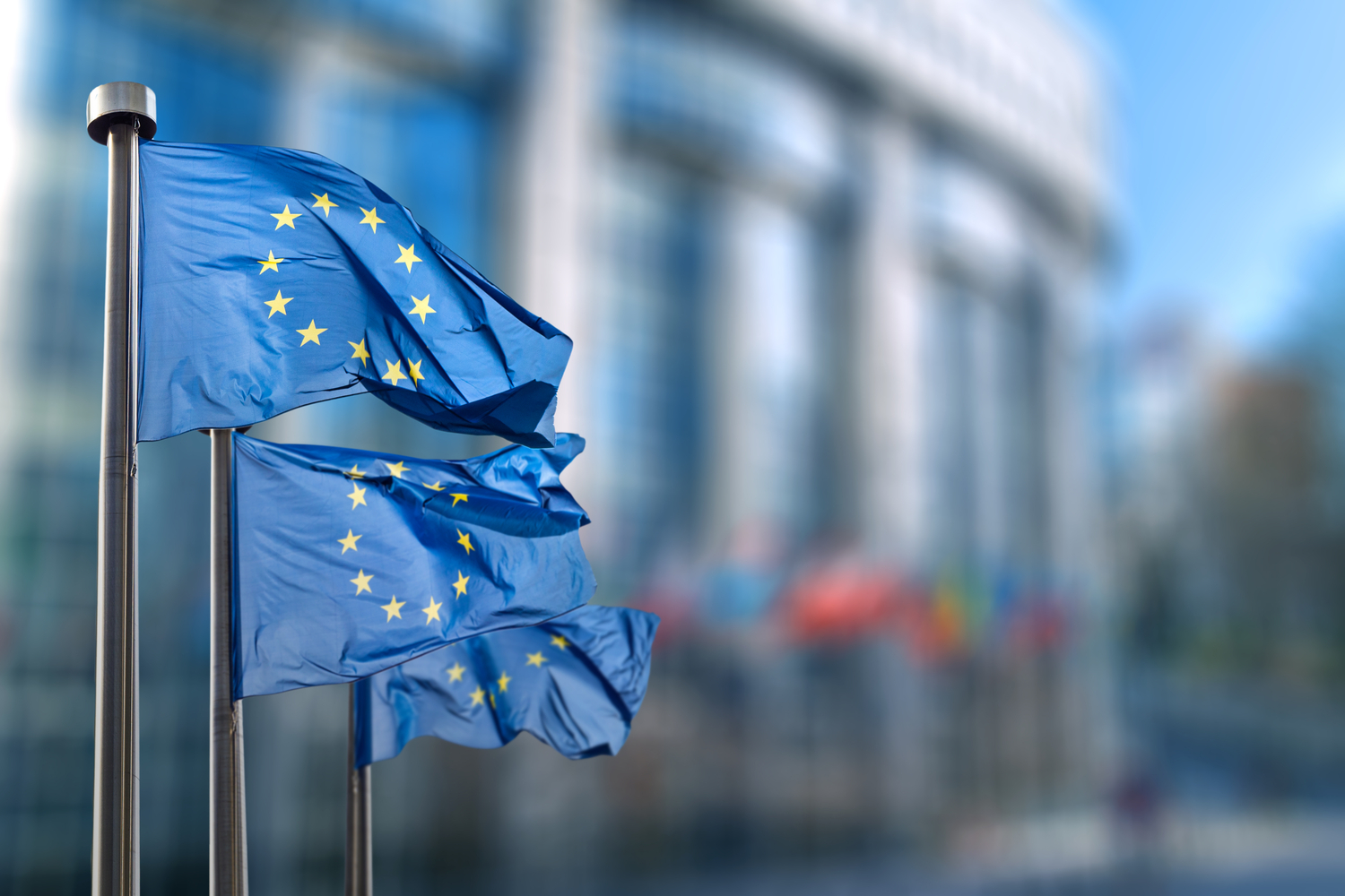 European Finance Regulators Call For Bloc-Wide Crypto Rules