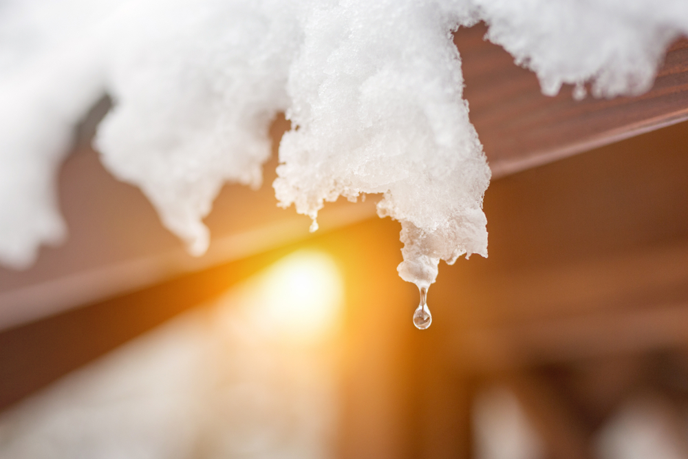 Crypto Winter Thaws As February Proves Month Of Market Gains