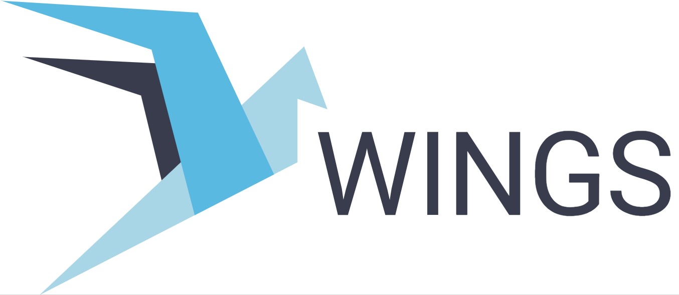 Wings: A Safer Future For Blockchain Industry