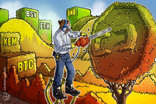 Top 5 Crypto Performers: BTC, XEM, BSV, ETH, BNB