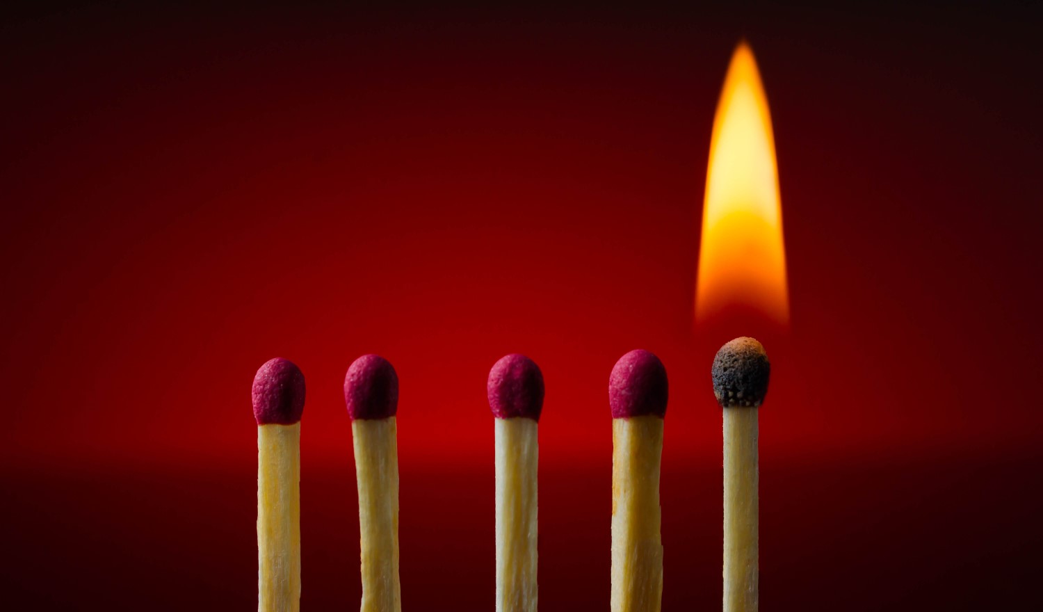 Bitfinex Is Starting To Buy Back And ‘Burn’ Its LEO Exchange Token