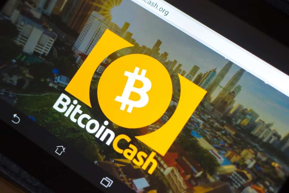 Bitcoin Cash Developer: If Something Isn’t Done, BCH Will Cease To Exist