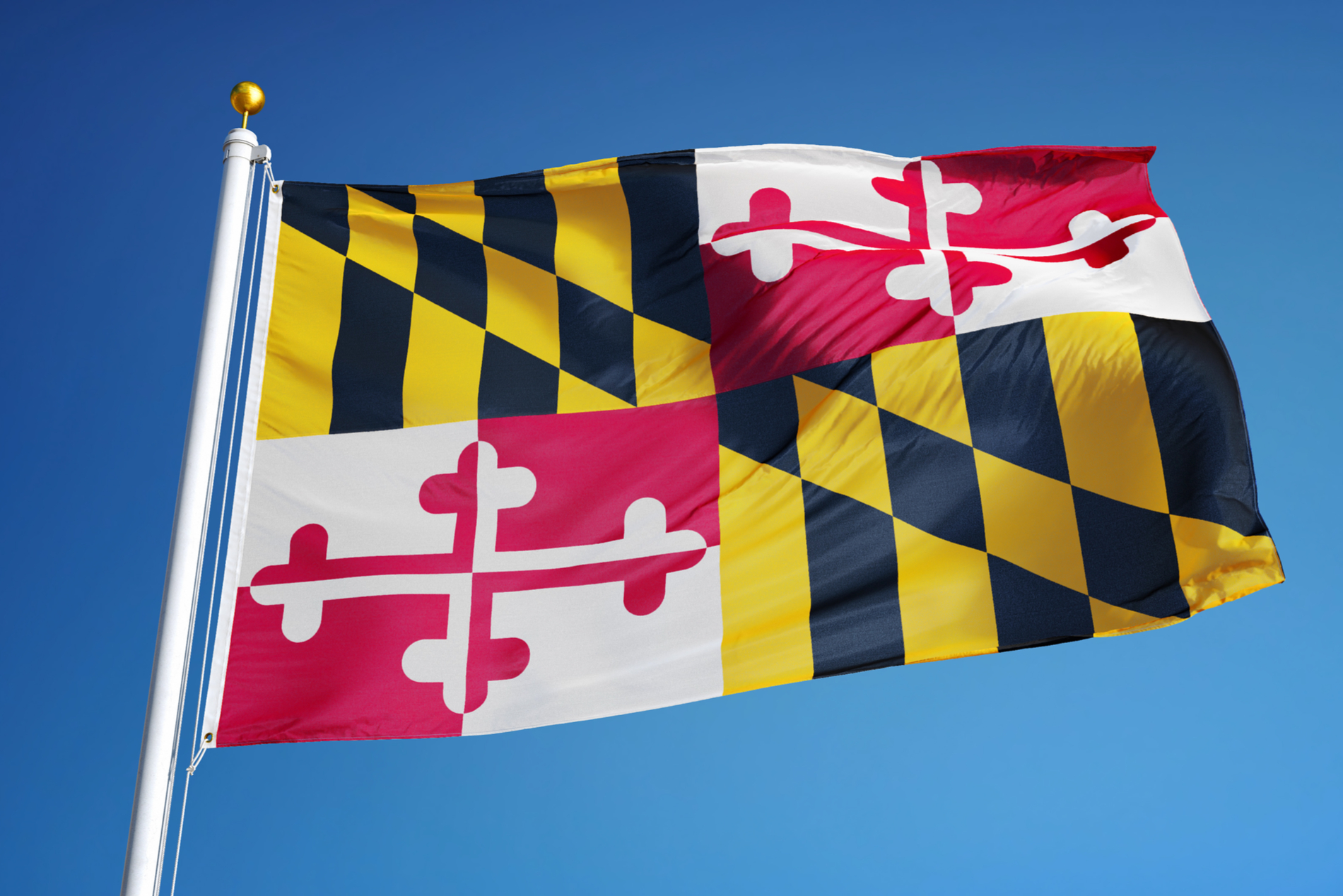 Maryland Targets Trading Platform Fraud As It Joins ‘Cryptosweep’ Effort