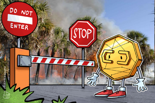 BitPay Blocks $100K Bitcoin Donation To Amazon Rainforest Fire Charity