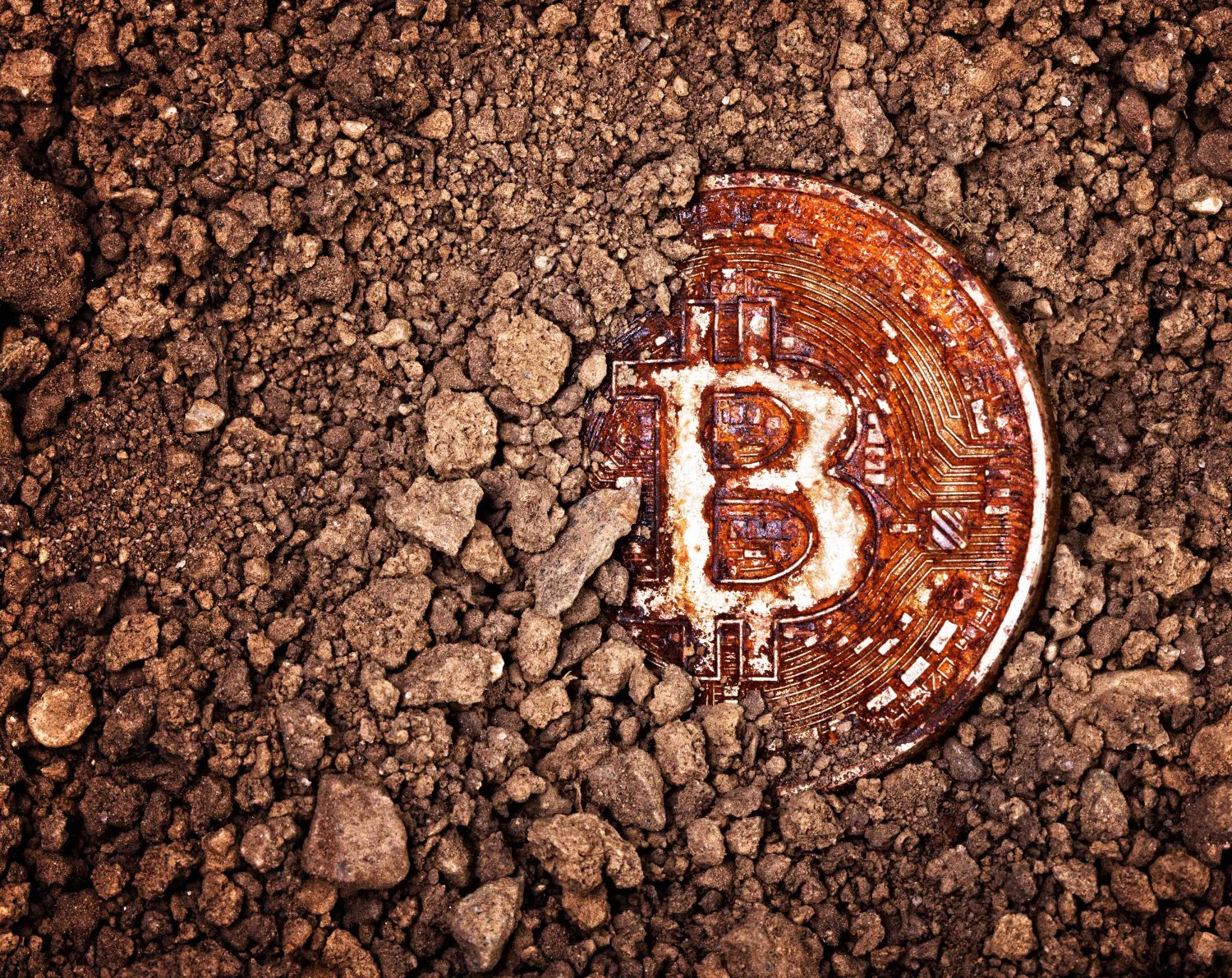 A Bitcoin Treasure Hunt Is Coming To College Campuses This Fall