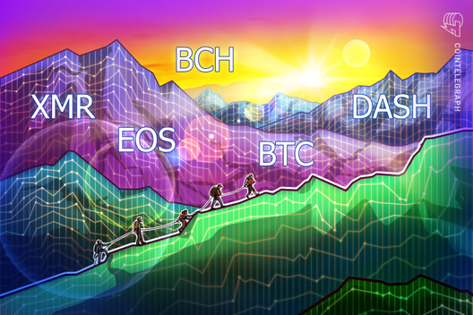 Top-5 Crypto Performers: XMR, EOS, BCH, BTC, DASH