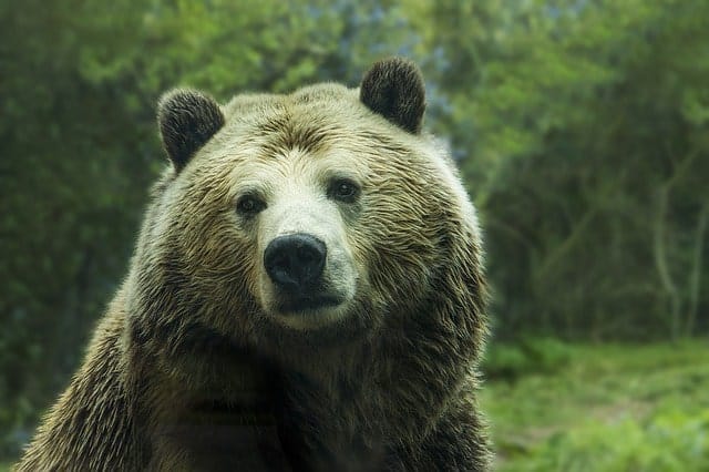 Crypto Community Bearish On Bitcoin, Predicts $6,000 Soon (But There’s A Caveat)