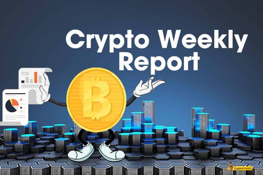 Bitcoin & Altcoins’ Calm Before The November Storm: The Weekly Crypto Market Update
