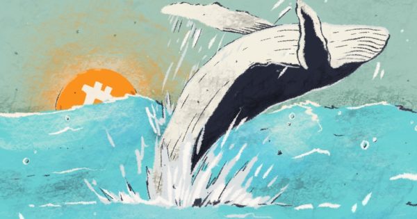Was A Lone Whale Really Behind Bitcoin’s 2017 Bull Run? Don’t Bet On It