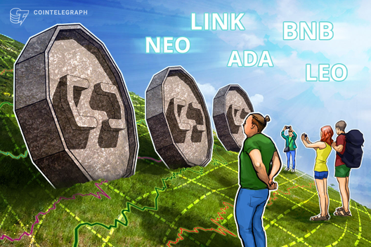 Top-5 Cryptos This Week: NEO, LINK, ADA, BNB, LEO