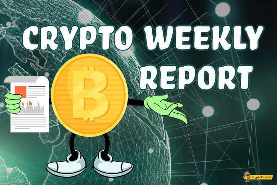 Bitcoin Retraces To $8000, Altcoins Follow & Bleed: Weekly Crypto Market Update