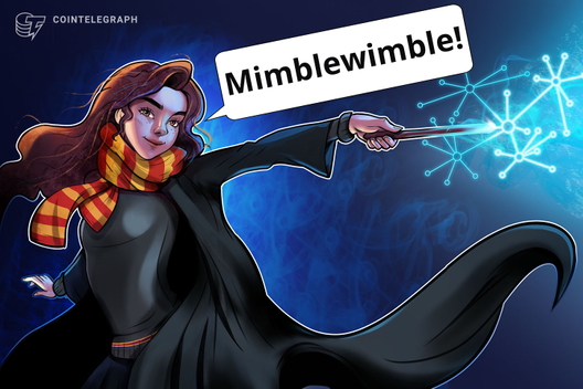 Grin’s Mimblewimble Privacy Model Under Threat After Alleged Break-In
