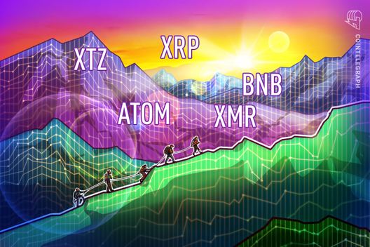 Top-5 Cryptos This Week: XTZ, ATOM, XRP, XMR, BNB