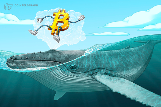 Bitcoin Whale ‘Defends’ $7.2K Price With 800 BTC To Win $0.01 In DOGE