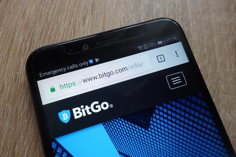 BitGo Users Can’t Receive Bitcoin SV (BSV) After February Genesis Hard Fork