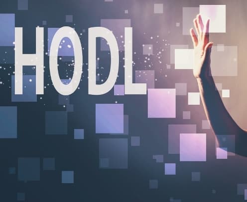 Happy Birthday HODL: The Bitcoin Long-Term HODLing Strategy Celebrates 6 Years