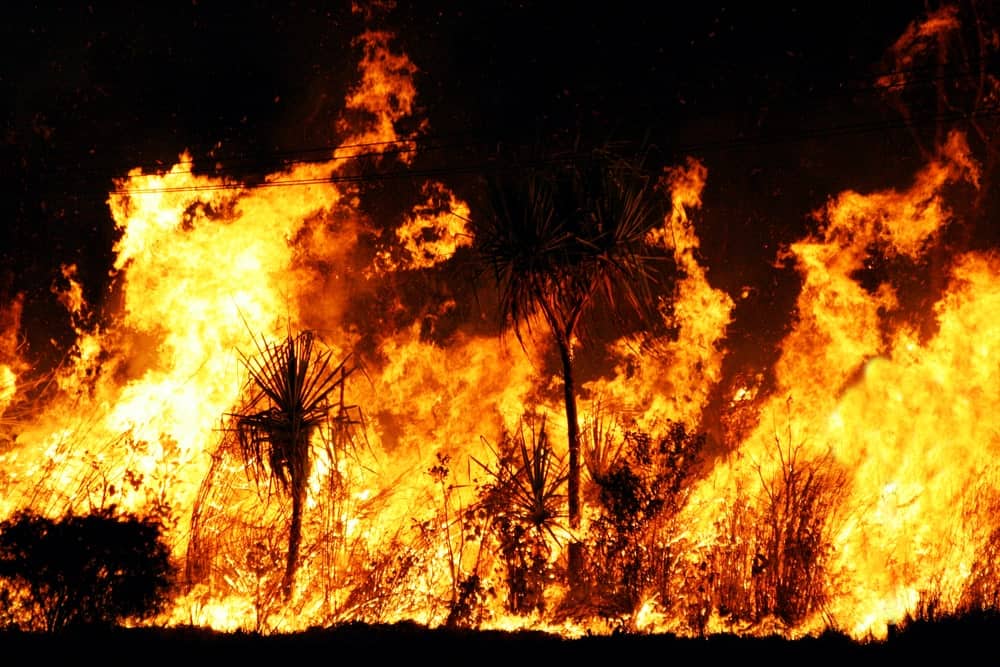 As-australia-burns,-binance-donates-$1-million-worth-of-bnb