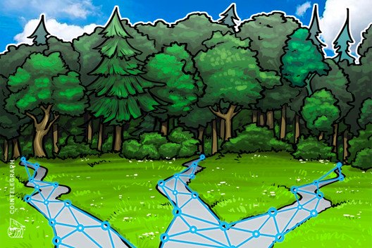 Blockchain-firm-bitfury-partners-with-un-on-forest-project-in-kazakhstan