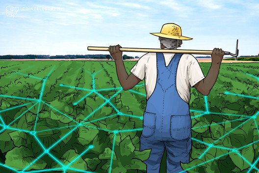 Blockchain-used-by-budweiser-owner-inbev-to-help-african-farmers
