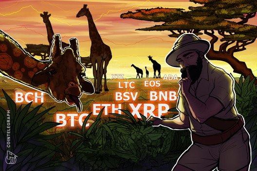 Price-analysis-feb-3:-btc,-eth,-xrp,-bch,-bsv,-ltc,-eos,-bnb,-ada,-xtz