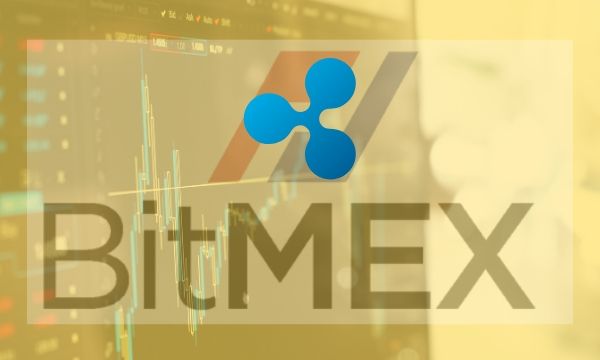 Bitmex-ceo-calls-ripple-dogshit-and-adds-xrp-perpetual-swap-contracts-to-bitmex-tomorrow
