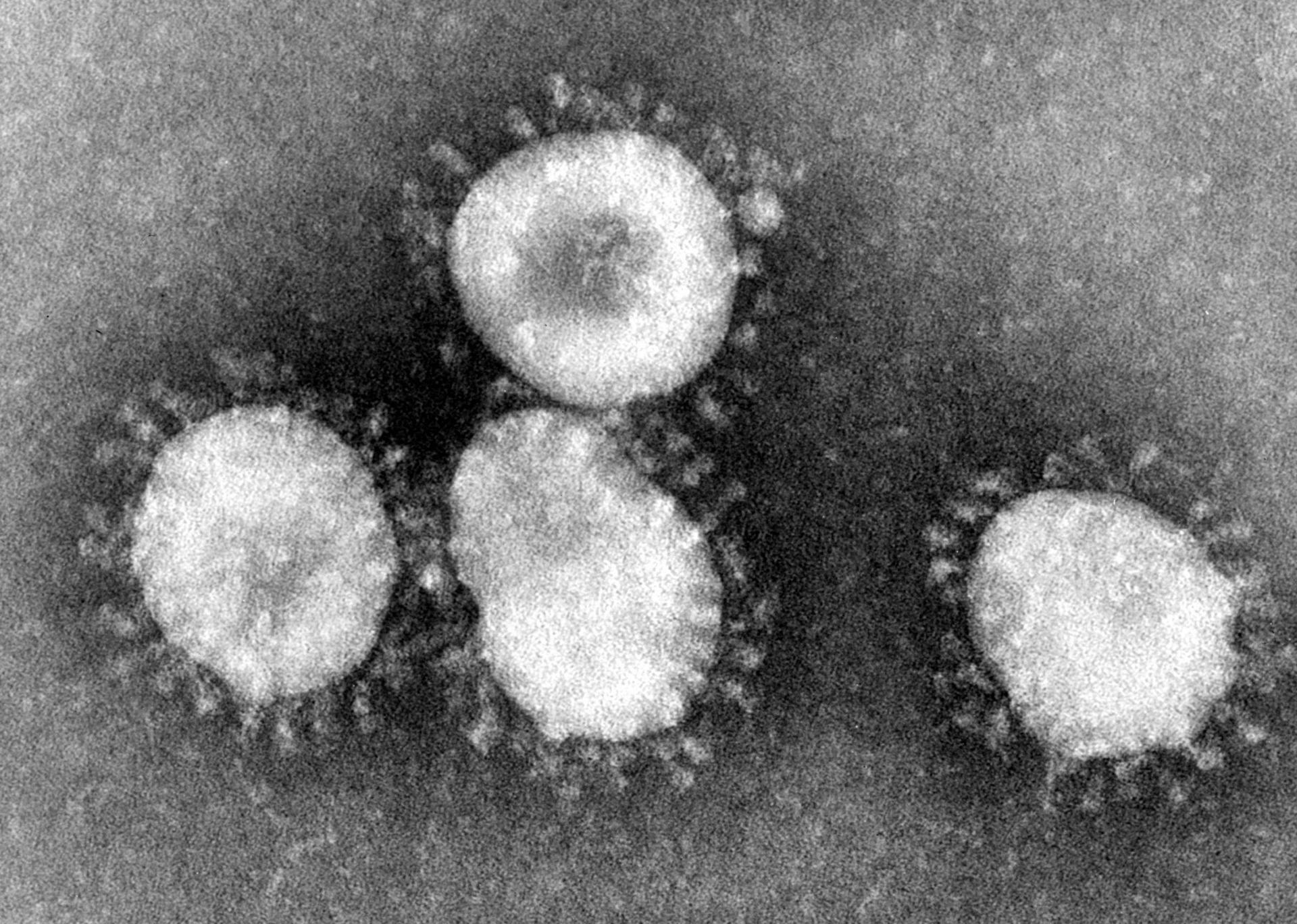 Coronavirus-checks-china’s-blockchain-ambitions