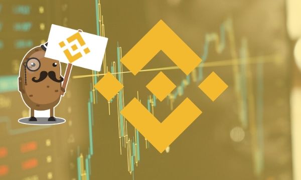 Binance-coin-price-analysis:-bnb-gains-6%-despite-latest-bitcoin-pullback