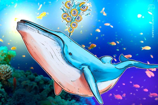 Bitcoin-gold-is-held-captive-by-whale-with-almost-half-the-supply