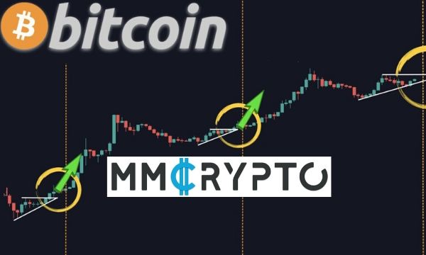 Bitcoin-to-reach-new-ath-in-2020-following-a-massive-sell-off:-youtuber-mmcrypto-trader’s-digest
