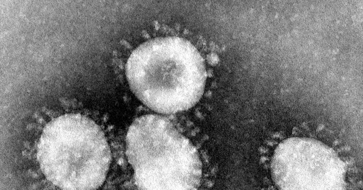The-markets-were-already-vulnerable,-then-came-coronavirus