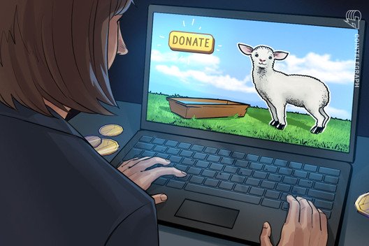 Crypto-powered-sheep-feeding-channel-raises-money-for-a-good-cause