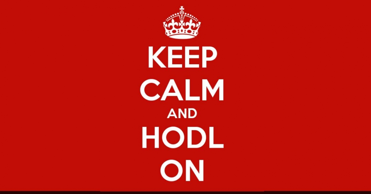 6-good-reasons-for-bitcoin-hodlers-to-stay-calm